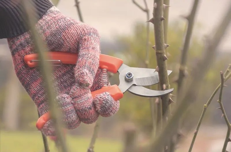 Productos Tramontina para jardín